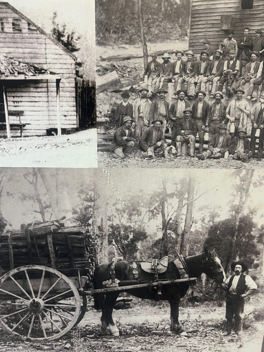 Historical photos of Blackwood — miners at work, a timber slab hut, and a horse and cart